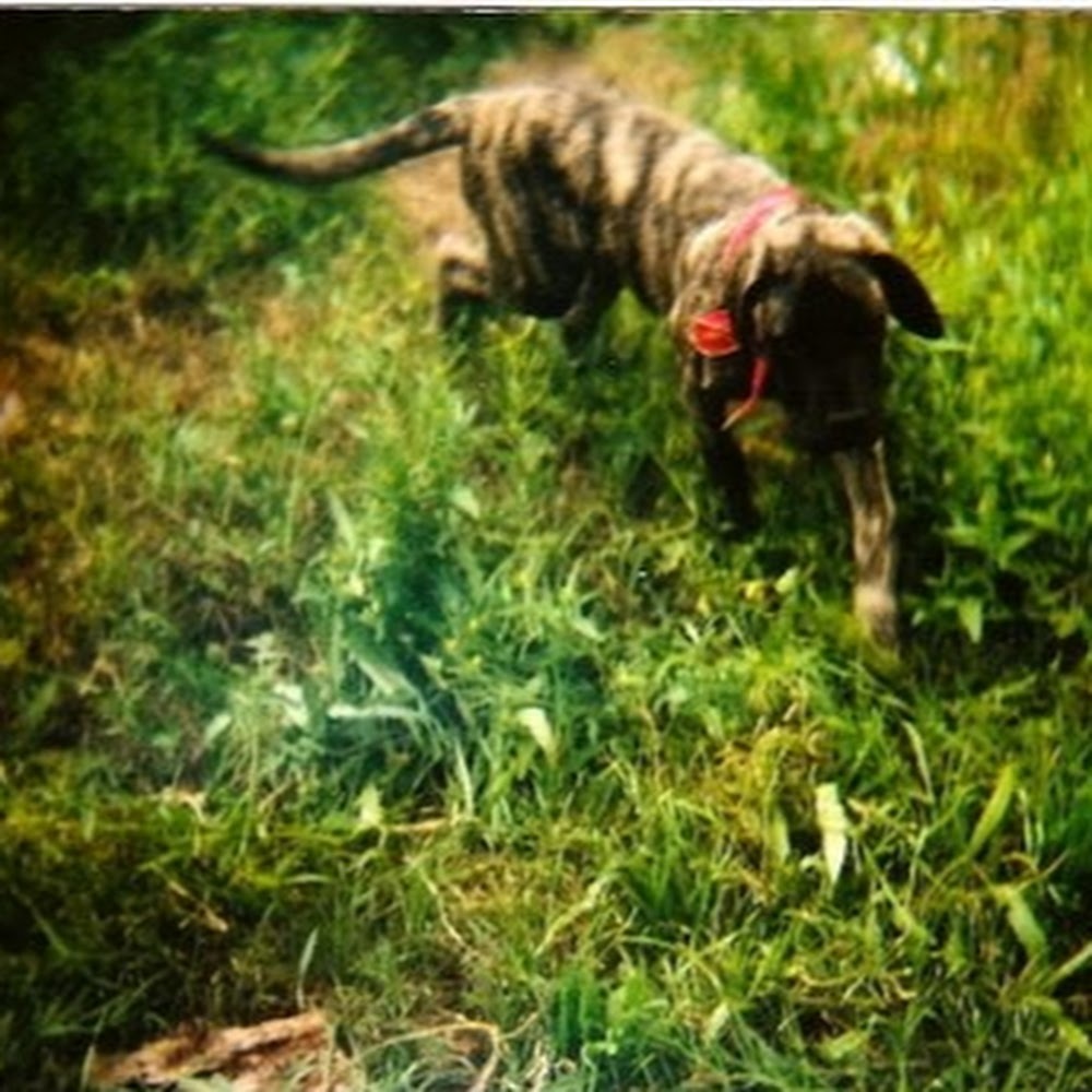 Meet your Posher, Cassandra